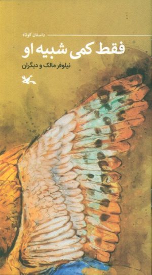 کتاب فقط کمی شبیه او | انتشارات کانون پرورش فکری کودکان و نوجوانان