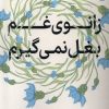کتاب زانوی غم بغل نمی گیرم | انتشارات فلسفه