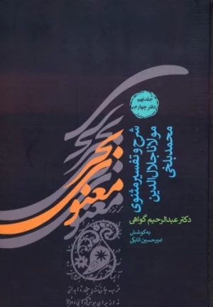 کتاب بحر معنوی (جلد 9 و 10) | انتشارات پارس کتاب