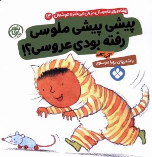 کتاب پیشی پیشی ملوسی رفته بودی عروسی | انتشارات نشر پنجره