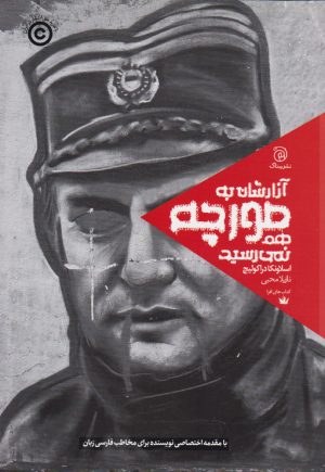 کتاب آزارشان به مورچه هم نمی رسید | انتشارات ستاک