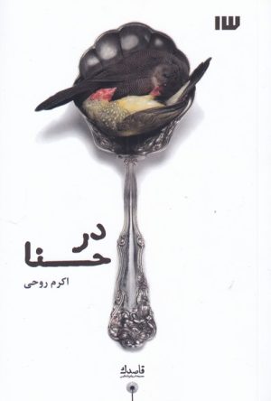 کتاب در حنا | انتشارات سیزده