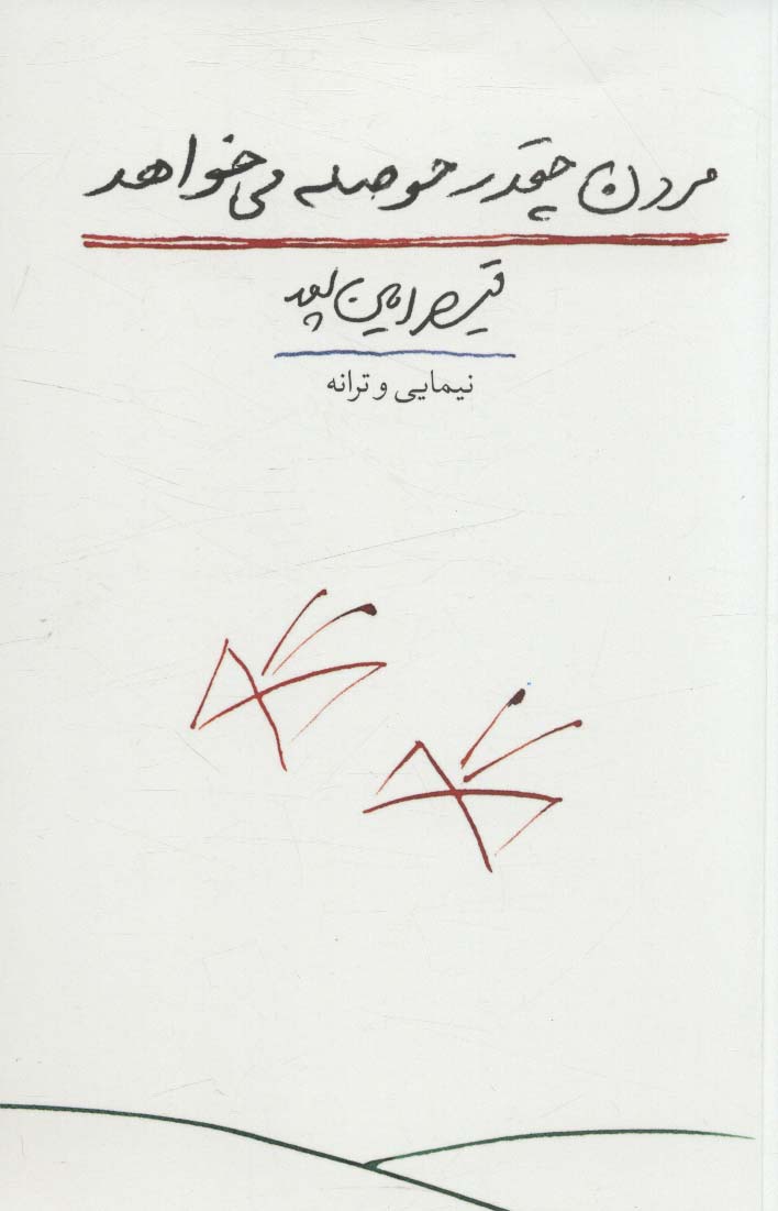 کتاب مردن چقدر حوصله می خواهد | انتشارات کتاب آبی