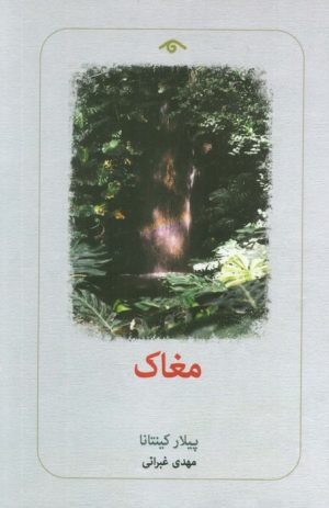 کتاب مغاک | انتشارات دیدآور