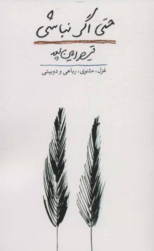 کتاب حتی اگر نباشی | انتشارات کتاب آبی