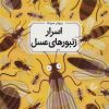 کتاب اسرار زنبورهای عسل (شومیز) | انتشارات طلایی