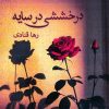 کتاب درخششی در سایه | انتشارات ابریشمی