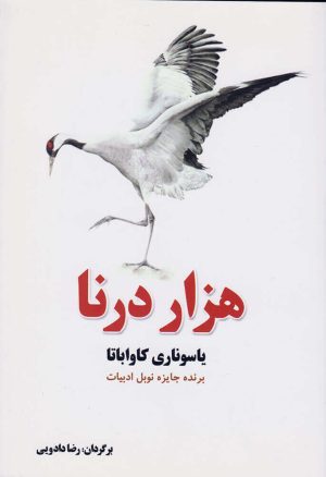 کتاب هزار درنا | انتشارات کتاب آمه