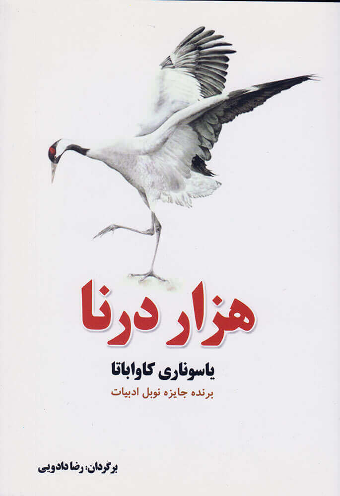 کتاب هزار درنا | انتشارات کتاب آمه