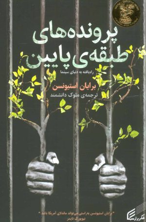 کتاب پرونده های طبقه پایین | انتشارات فکر برتر