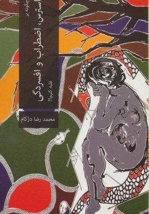 کتاب چگونه بر استرس،اضطراب و افسردگی غلبه کنیم؟! | انتشارات دنیس