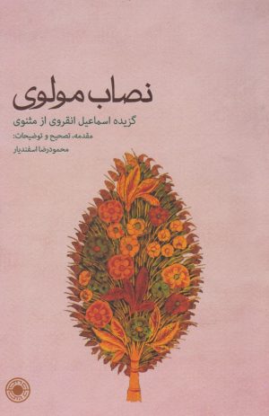 کتاب نصاب مولوی | انتشارات حکمت