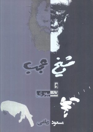 کتاب شیخ عجب و تنبوری | انتشارات کویر