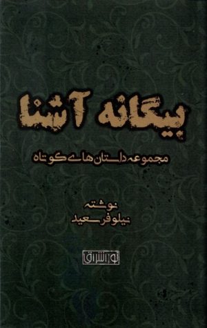 کتاب بیگانه آشنا | انتشارات نور اشراق