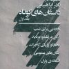 کتاب مجموعه ی داستان های کوتاه نادر ابراهیمی (2 جلدی) | انتشارات امیرکبیر