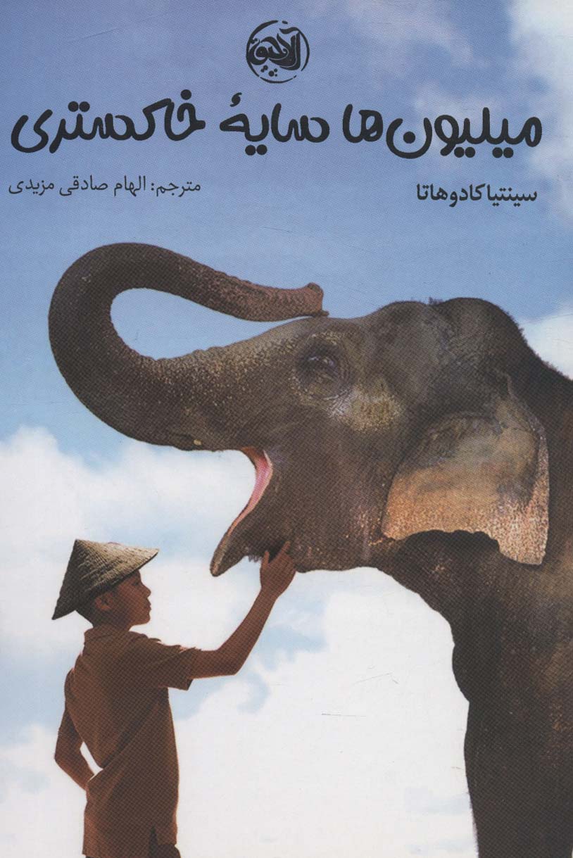 کتاب میلیون ها سایه خاکستری | انتشارات آلاچیق