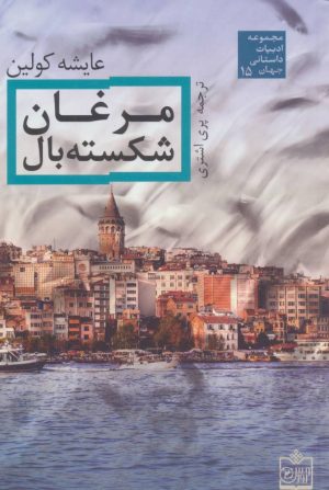کتاب مرغان شکسته بال | انتشارات فروزش