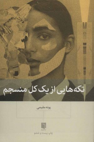 کتاب تکه هایی از یک کل منسجم (شومیز) | انتشارات بینش نو