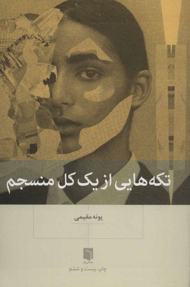 کتاب تکه هایی از یک کل منسجم (شومیز) | انتشارات بینش نو
