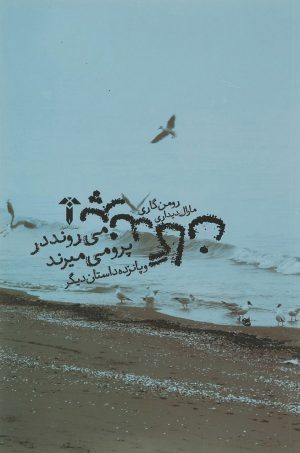 کتاب پرندگان می روند در پرو می میرند | انتشارات آشیان