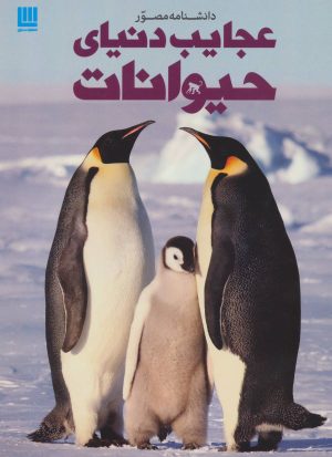 کتاب دانشنامه مصور عجایب دنیای حیوانات | انتشارات سایان