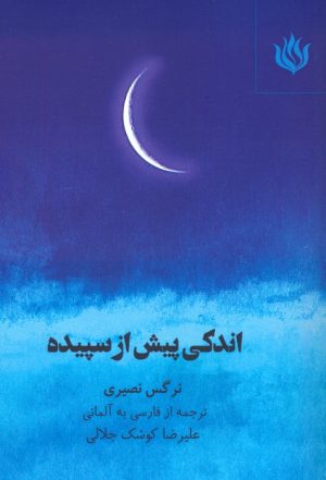 کتاب اندکی پیش از سپیده | انتشارات مهر نوروز