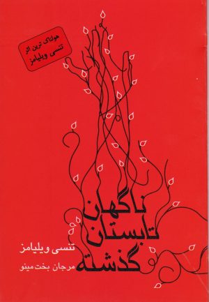 کتاب ناگهان تابستان گذشته | انتشارات مینو