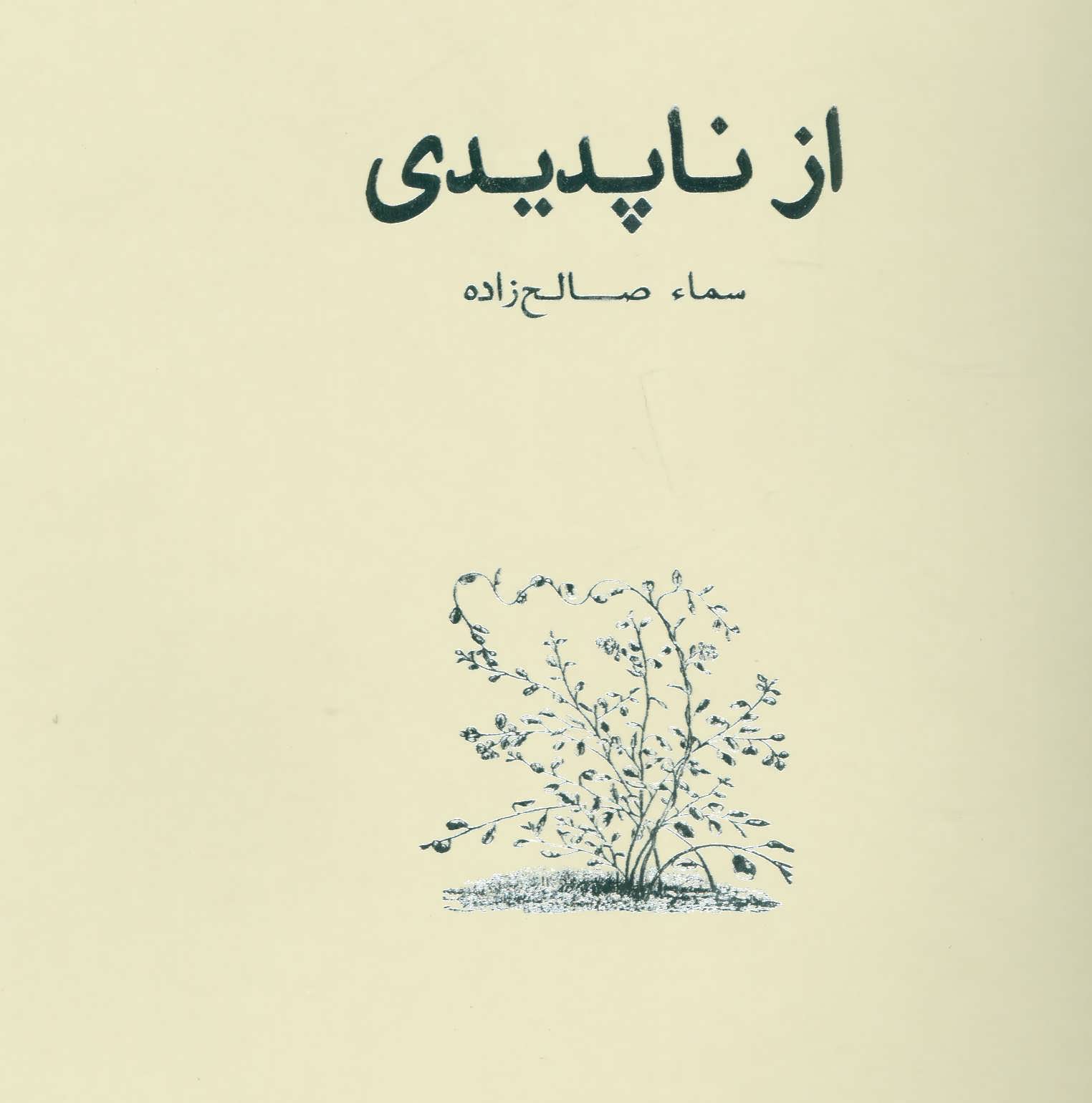 کتاب از ناپدیدی | انتشارات حرفه نویسنده