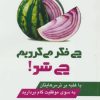 کتاب چی فکر می کردیم چی شد! | انتشارات چابک اندیش