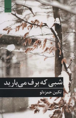 کتاب شبی که برف می بارید | انتشارات برکه خورشید