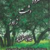 کتاب سرود دشت زلاوز | انتشارات بامداد نو