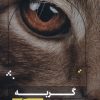 کتاب گربه | انتشارات هیرمند