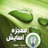 کتاب معجزه آسایش | انتشارات هاتف