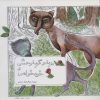 کتاب روباه و گربه وحشی و خودخواهی | انتشارات اشاره