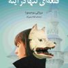 کتاب قلعه ای تنها در آینه | انتشارات دانش آفرین