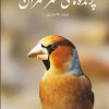 کتاب پرنده های شهر تهران | انتشارات ایران شناسی