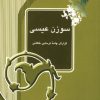 کتاب سوزن عیسی | انتشارات آیدین