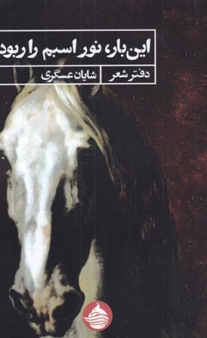 کتاب این بار نور اسبم را ربود | انتشارات حکمت کلمه