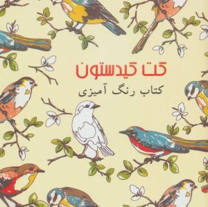کتاب کت کیدستون | انتشارات خدمات فرهنگی کرمان