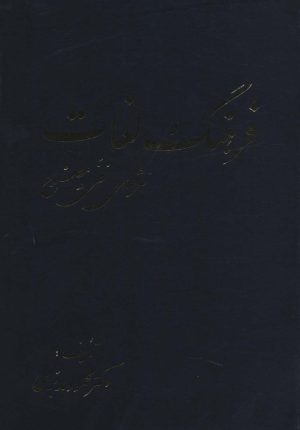 کتاب فرهنگ لغات نثرهای فنی و مصنوع | انتشارات خدمات فرهنگی کرمان