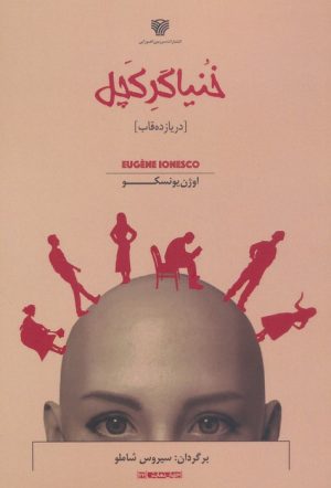 کتاب خنیاگر کچل (در یازده قاب) | انتشارات سرزمین اهورایی