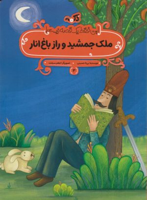 کتاب ملک جمشید و راز باغ انار | انتشارات پی نما