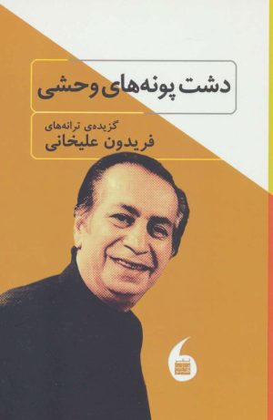 کتاب دشت پونه های وحشی | انتشارات مانیاهنر