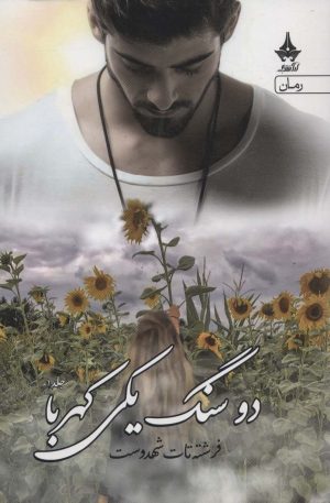 کتاب دو سنگ یکی کهربا (دوره ی 2 جلدی) | انتشارات آراسبان