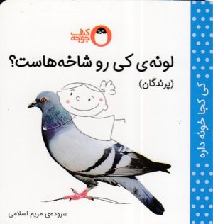 کتاب لونه ی کی رو شاخ هاست؟ (پرندگان) | انتشارات کتاب پرنده