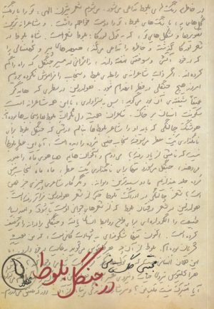 کتاب در جنگل بلوط | انتشارات کتاب فانوس