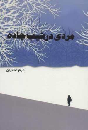 کتاب مردی در شیب جاده | انتشارات شمشاد