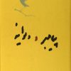 کتاب پیامبر و دیوانه (رقعی) | انتشارات کارنامه