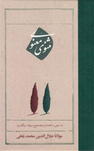 کتاب مثنوی معنوی | انتشارات امیرکبیر