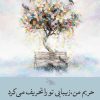 کتاب حریم من، زیبایی تو را تحریف می‌کرد | انتشارات سیب سرخ